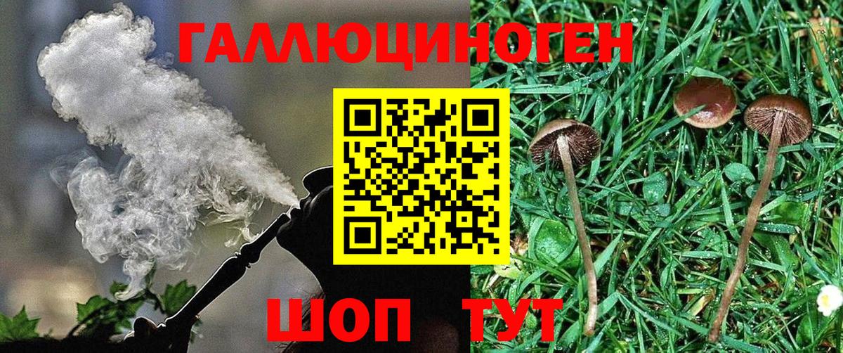 Галлюциногенные грибы Magic Shrooms Калининград